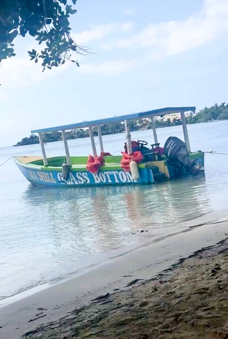 Glass Bottom Boat