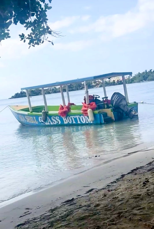 Glass Bottom Boat